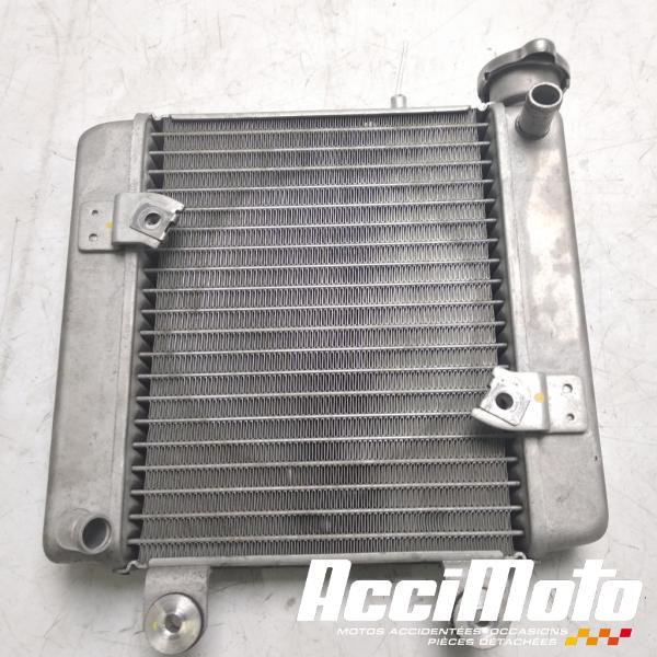 Pièce Moto Radiateur de refroidissement HONDA S-WING FES125