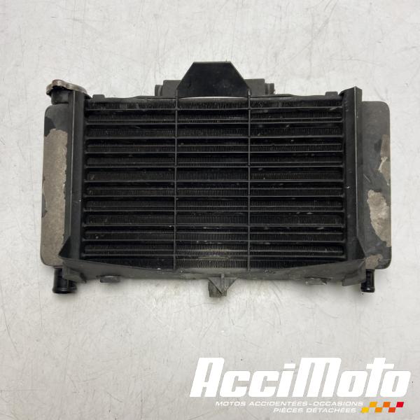 Pièce Moto Radiateur de refroidissement YAMAHA FZ6 N