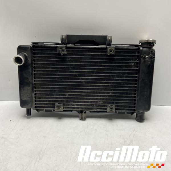 Pièce Moto Radiateur de refroidissement YAMAHA FZ6 N