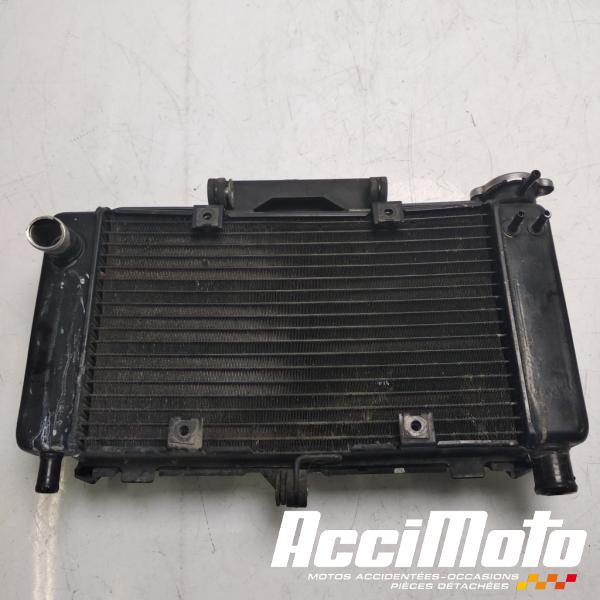 Pièce Moto Radiateur de refroidissement YAMAHA FZ6 N