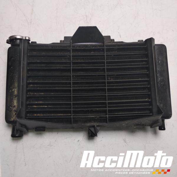 Pièce Moto Radiateur de refroidissement YAMAHA FZ6 N